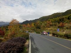-塔川景区