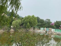 -北京西山国家森林公园