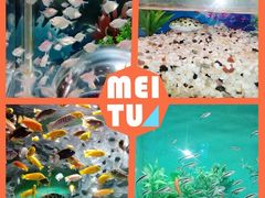 -常州海昌海洋探索馆
