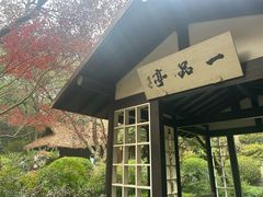 -中国茶叶博物馆(双峰馆区)