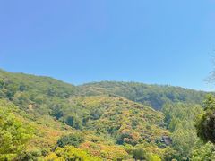 -黄埔油麻山森林公园