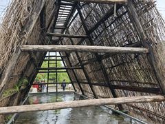-燊海井