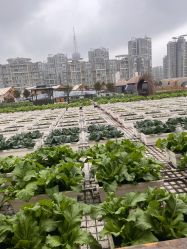 -三分地生态园·儿童乐园