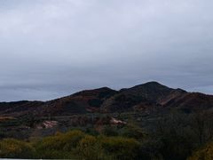 -御道口草原森林风景区