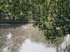 -黄村公园