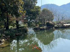 -中国茶叶博物馆(双峰馆区)