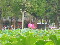 -四川大学(望江校区)