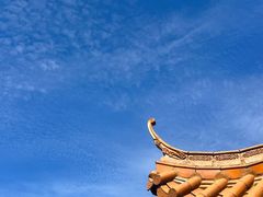 -深圳仙湖植物园