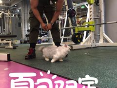 -浩北·健身格斗馆24h