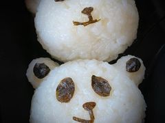 -上海野生动物园老虎餐厅