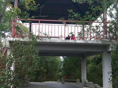 -石溪公园