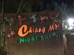 -清迈夜间动物园