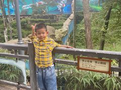 -中国大熊猫保护研究中心雅安碧峰峡基地