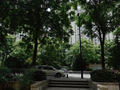 -COTTON CAFE(德信·中外公寓店)