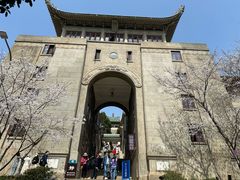 -武汉大学-樱园