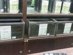 -张一元(总店)