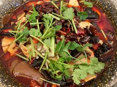 精品毛血旺-成都驻京办餐厅(蜀都宾馆店)