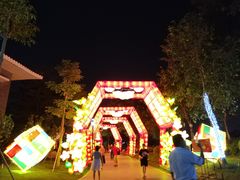 -映月湖公园