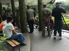 -新江湾城公园