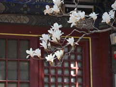 -潭柘寺景区