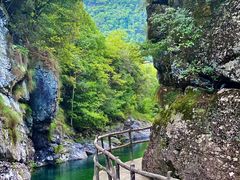 -石台牯牛降景区
