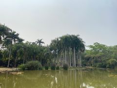 -中国科学院西双版纳热带植物园