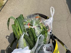 -何庄子阿米玛玛农产品批发市场
