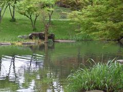 -宁波九龙湖开元度假村