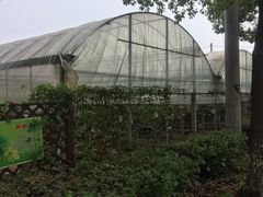-美家乐农庄·露营·团建(大治路店)