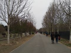 -永定河休闲森林公园