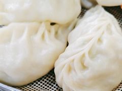 -小叶大馅饺子城