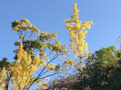 -洛龙公园