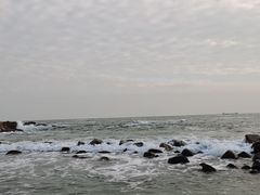 -广东惠东海龟国家级自然保护区