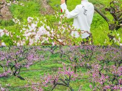 -云和湖仙宫景区