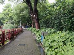 -雨湖公园