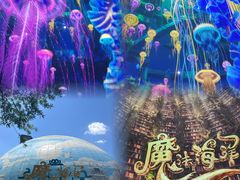 -海合安武汉极地海洋公园