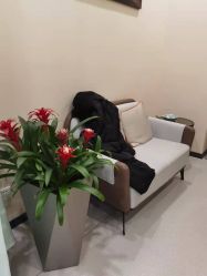 -北京米扬丽格医疗美容·联合丽格鼻整形中心