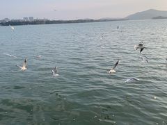 -蠡湖大桥公园