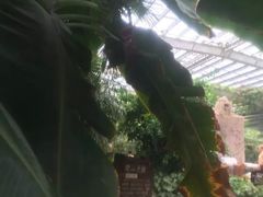 iphone_upload_pic-龙达温泉生态城