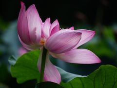 -黄兴公园