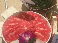 -小龙坎火锅(全球旗舰店)