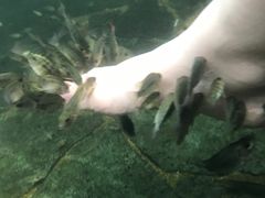 -龙达温泉生态城