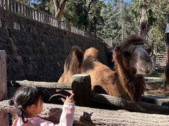 -昆明动物园