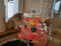 -Me Coffee下午茶艺术空间