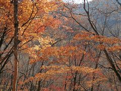 景点-龙道沟景区