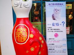 -猫咪博物馆(顶澳仔猫街店)