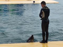 -秦皇岛乐岛海洋王国