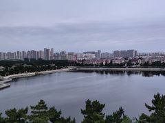 -莫内艺术岛海景咖啡