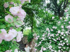 -滆湖低碳生态公园