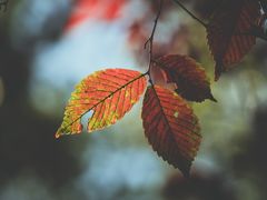 -上海交通大学(闵行校区)